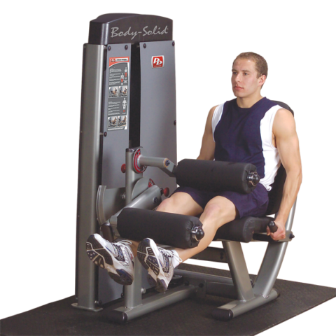BodySolid DLEC-SF Leg Extension / Leg Curl Machine