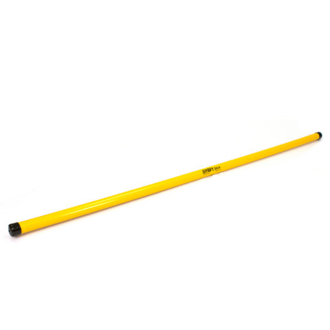 Smart Stick