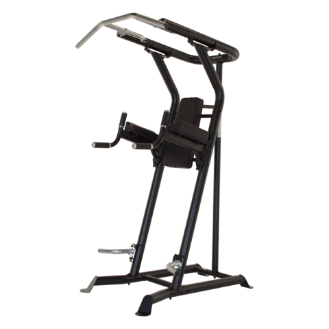 Inspire Fitness Vertical Knee Raise