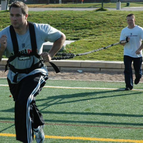 Workhorse Harness - Image 3