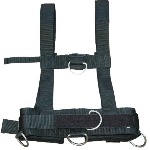Workhorse Harness - Image 2