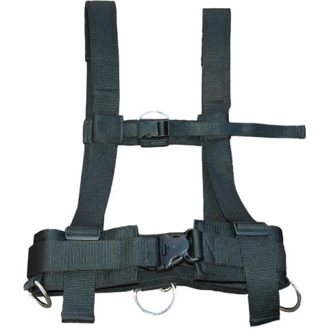 Workhorse Harness